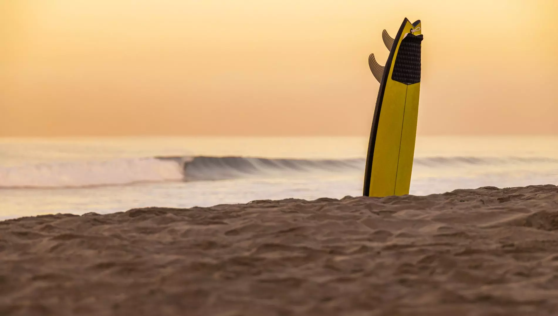 Top Areas of San Diego to Explore for Every Traveler